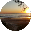 Noni Light profile picture