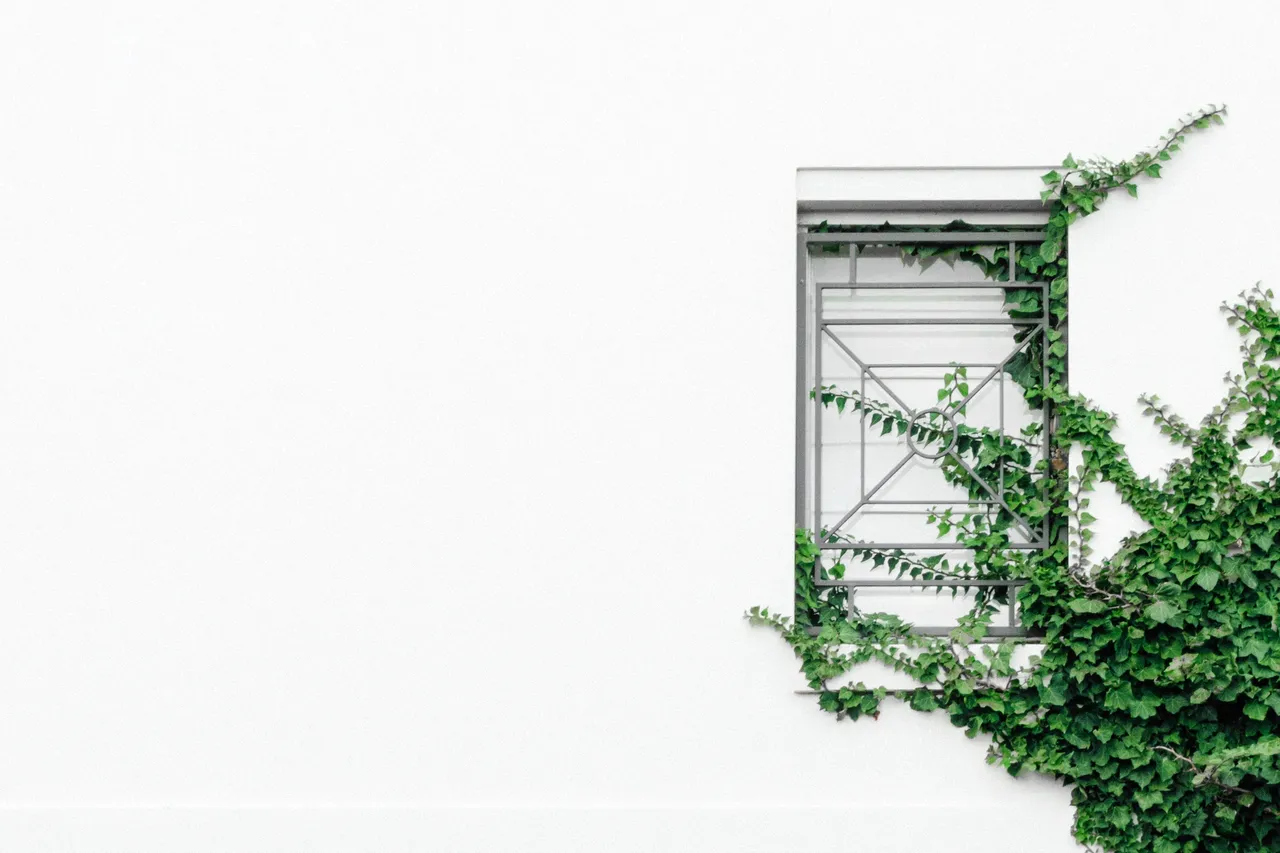 How Self-Employed Borrowers Can Get Mortgage-Ready